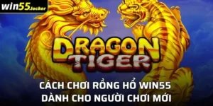 Cách Chơi Rồng Hổ Win55 Dành Cho Người Chơi Mới
