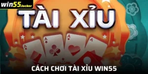 Cách Chơi Tài Xỉu Win55 Đơn Giản Cho Hội Viên Mới