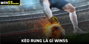 Kèo Rung Là Gì Win55 - Cược Linh Hoạt Theo Trận Đấu