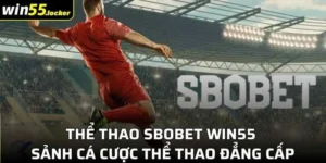 Thể Thao Sbobet Win55 - Sảnh Cá Cược Thể Thao Đẳng Cấp